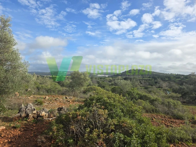Terreno Agricola ou Rústico para Venda em Paderne Foto 7