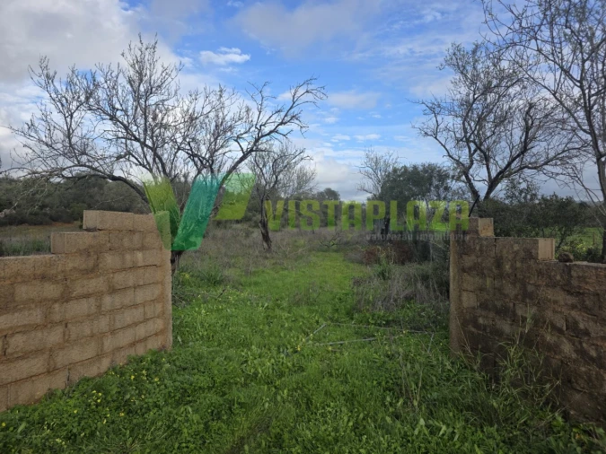Terreno Agricola ou Rústico para Venda em Paderne Foto 9