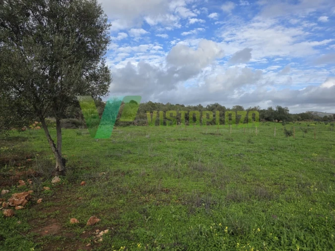 Terreno Agricola ou Rústico para Venda em Paderne Foto 5