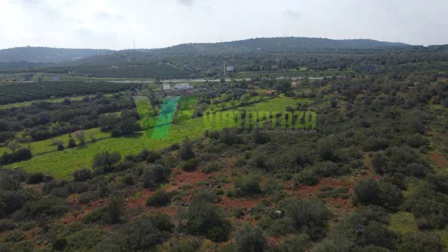 Terreno Agricola ou Rústico para Venda em Paderne Foto 11