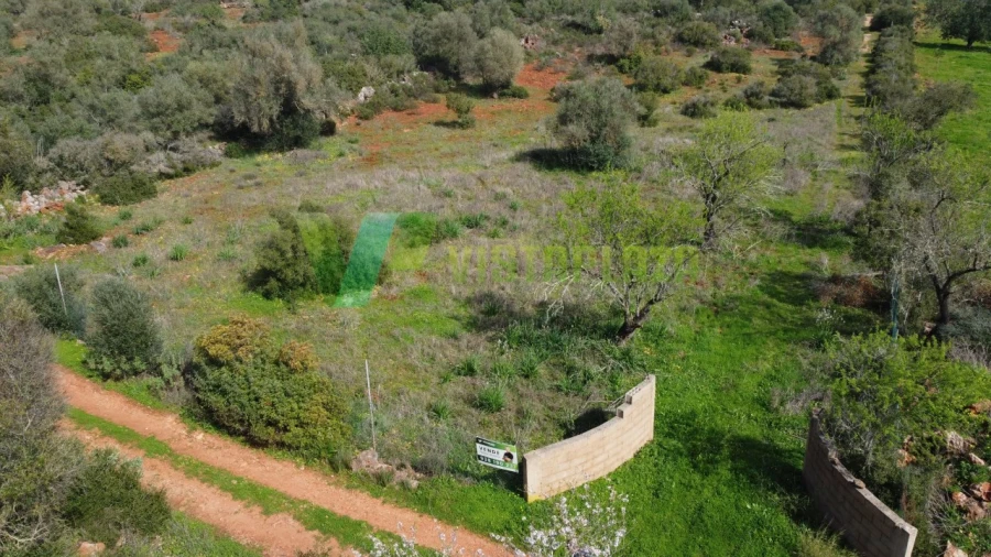Terreno Agricola ou Rústico para Venda em Paderne Foto 20