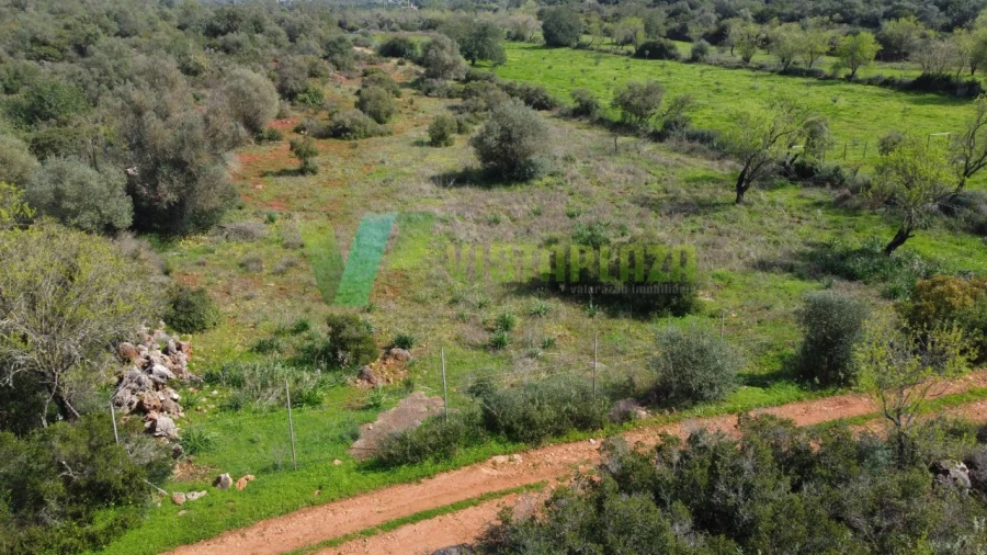 Terreno Agricola ou Rústico para Venda em Paderne Foto 21