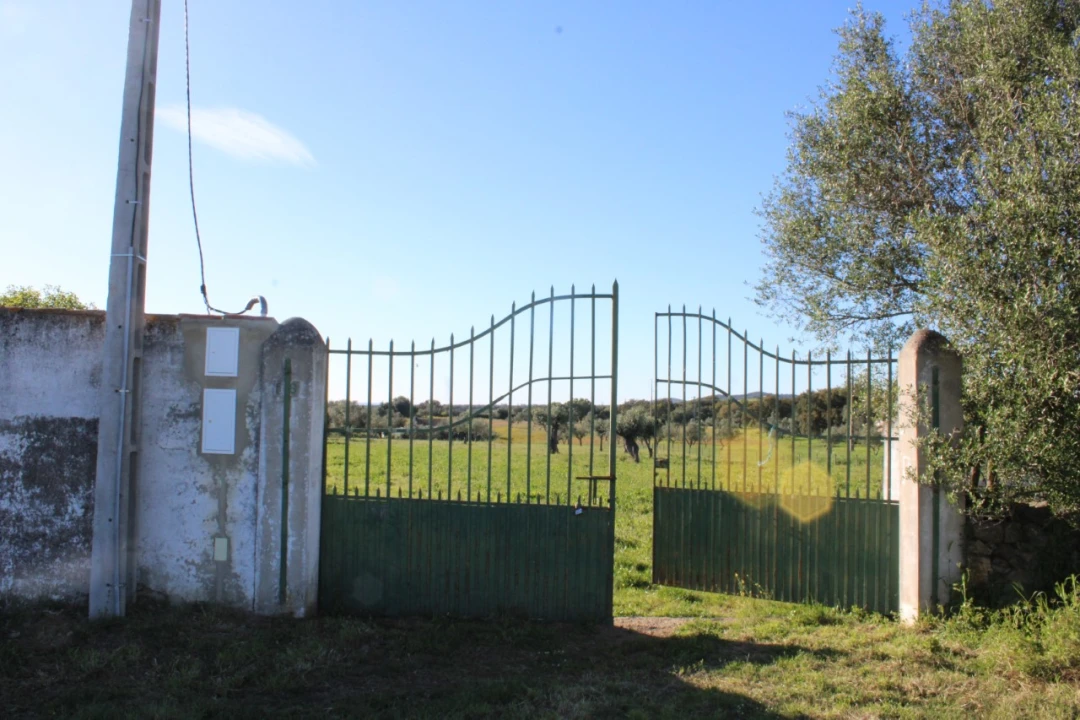 Quinta T1 para Venda em Cabeço de Vide Foto 9