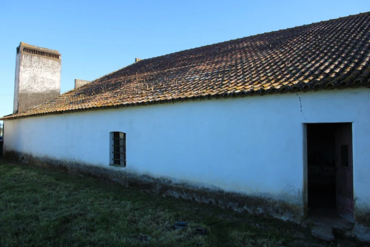 Quinta T1 para Venda em Cabeço de Vide Foto 10