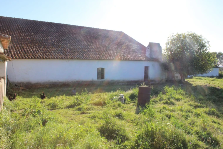 Quinta T1 para Venda em Cabeço de Vide Foto 11
