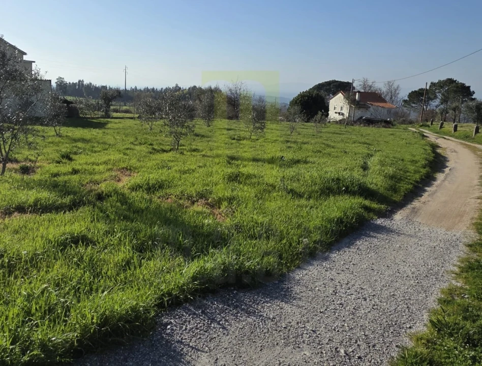 Quinta T2 para Venda em Lagos da Beira e Lajeosa Foto 4