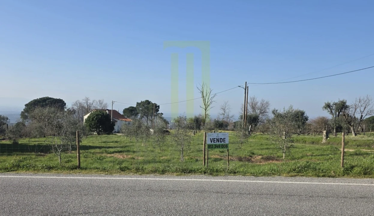Quinta T2 para Venda em Lagos da Beira e Lajeosa Foto 5