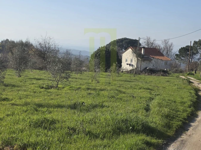 Quinta T2 para Venda em Lagos da Beira e Lajeosa Foto 3