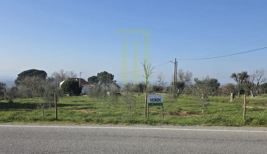 Quinta T2 para Venda em Lagos da Beira e Lajeosa Foto 5