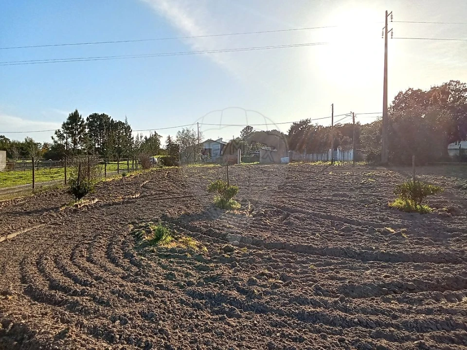Terreno para Venda em Vale da Pedra Foto 7