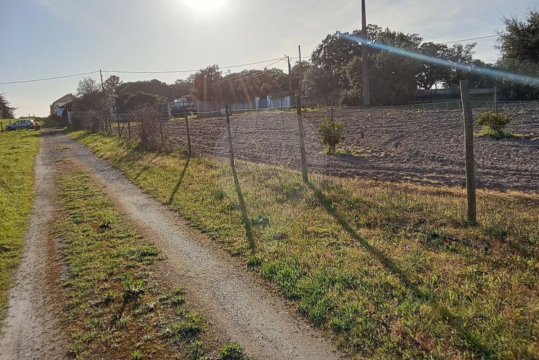 Terreno para Venda em Vale da Pedra Foto 9