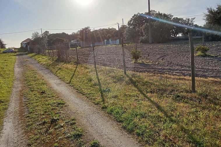 Terreno para Venda em Vale da Pedra Foto 9