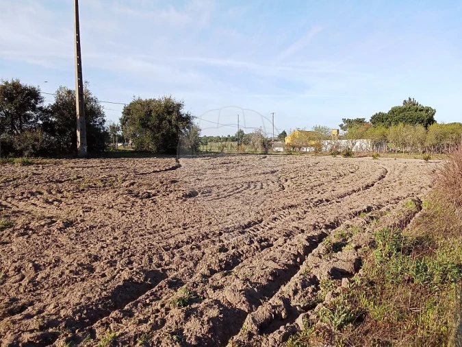 Terreno para Venda em Vale da Pedra Foto 5