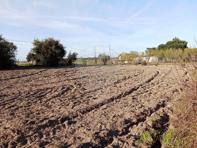 Terreno para Venda em Vale da Pedra Foto 10