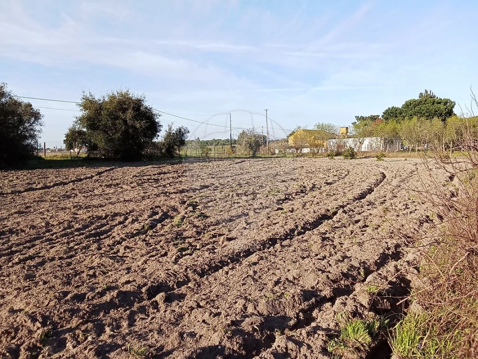 Terreno para Venda em Vale da Pedra Foto 10