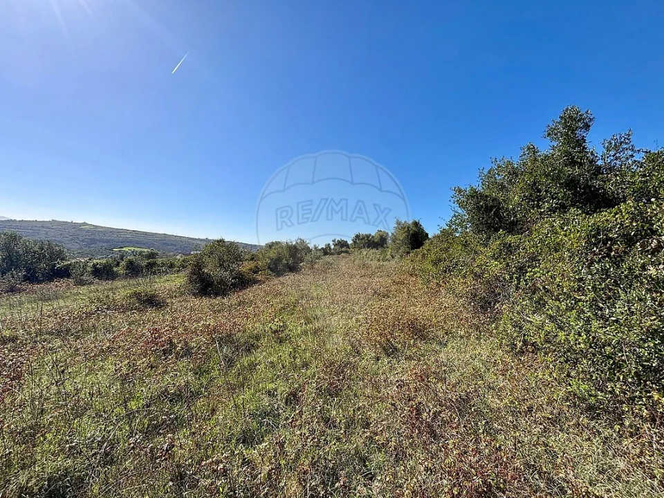 Terreno para Venda em Igreja Nova e Cheleiros Foto 4
