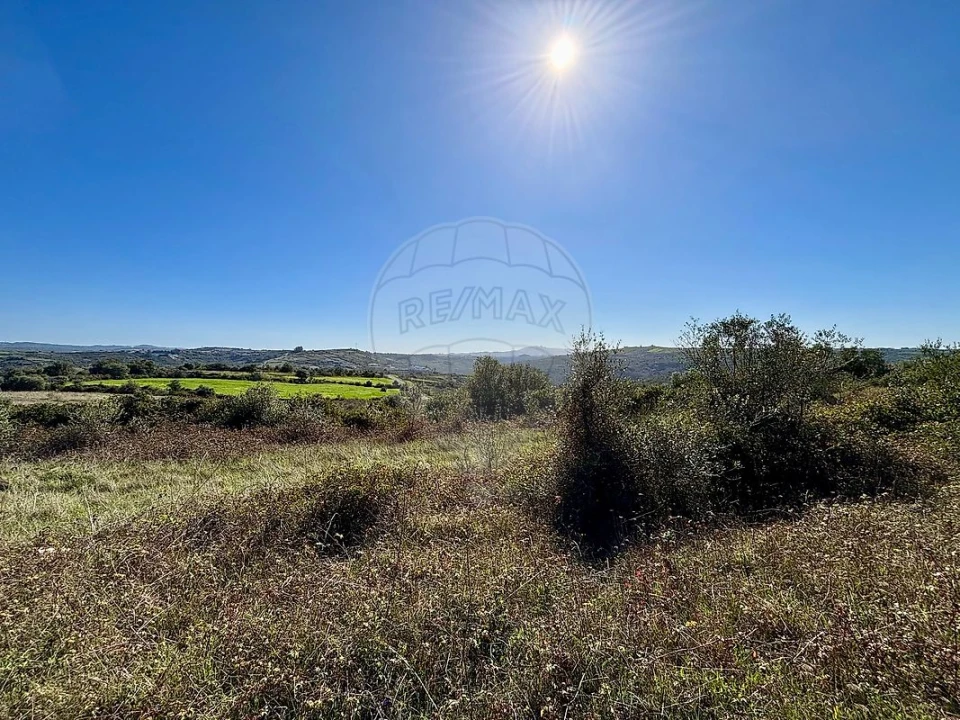 Terreno para Venda em Igreja Nova e Cheleiros Foto 2