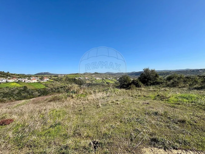 Terreno para Venda em Igreja Nova e Cheleiros Foto 5