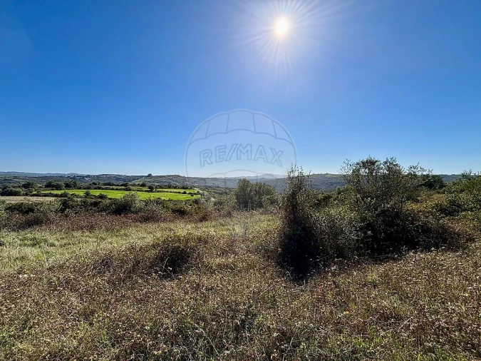 Terreno para Venda em Igreja Nova e Cheleiros Foto 2