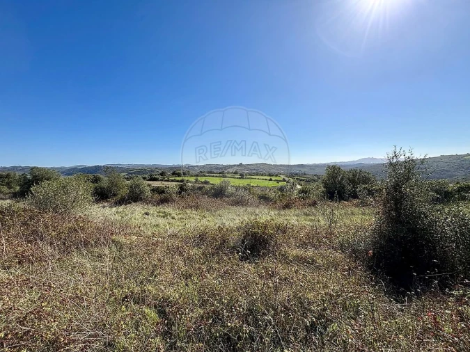 Terreno para Venda em Igreja Nova e Cheleiros