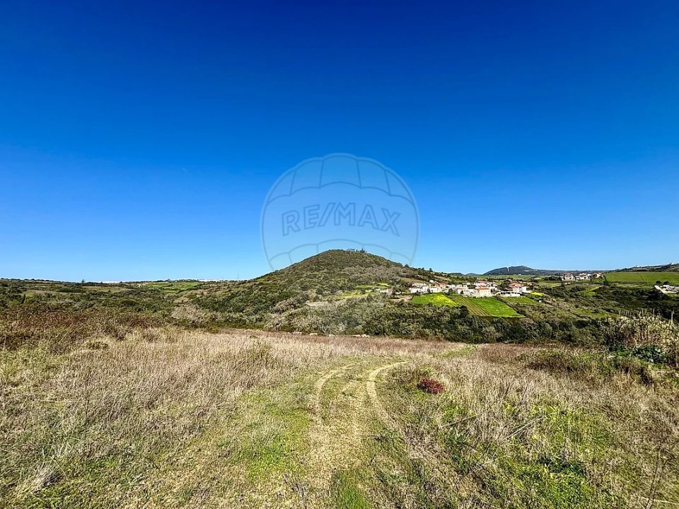 Terreno para Venda em Igreja Nova e Cheleiros Foto 6