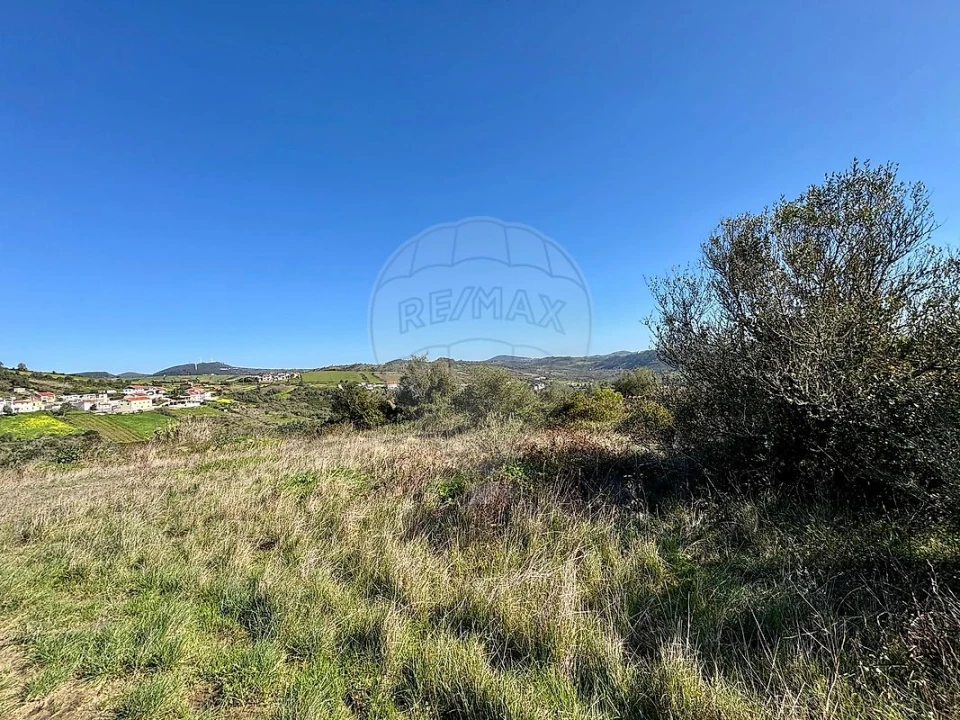 Terreno para Venda em Igreja Nova e Cheleiros Foto 3