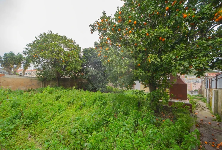 Moradia T4 para Venda em Camarate, Unhos e Apelação