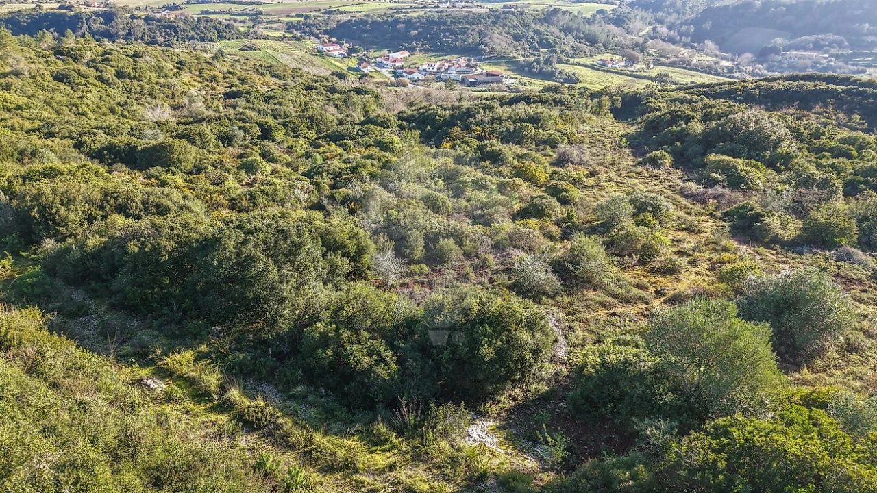 Terreno para Venda em Carnota Foto 13