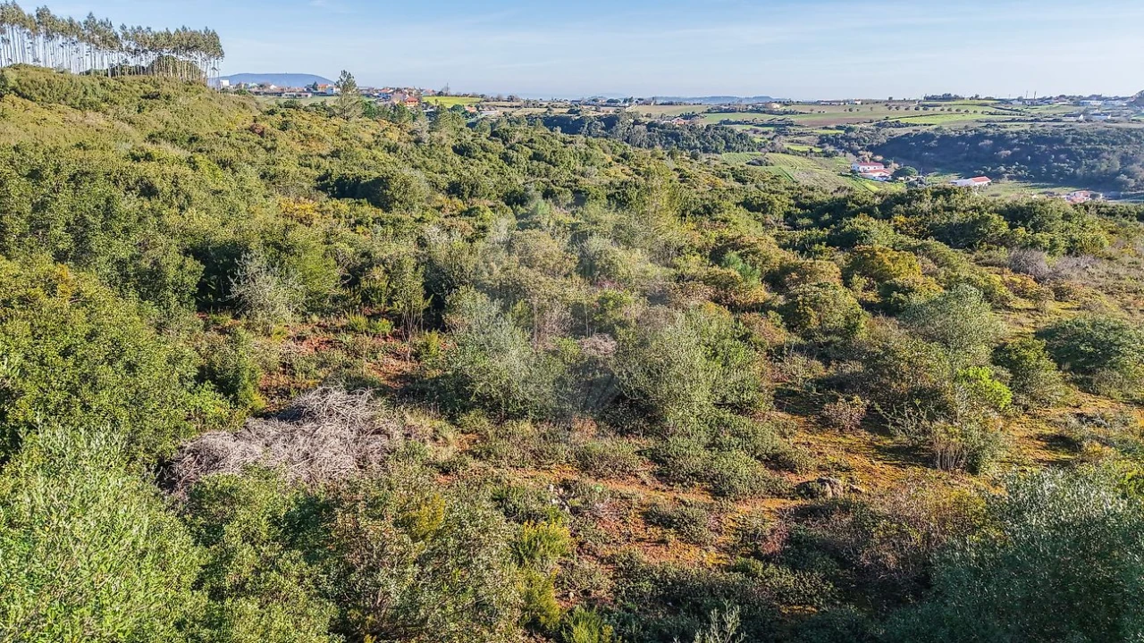 Terreno para Venda em Carnota Foto 17