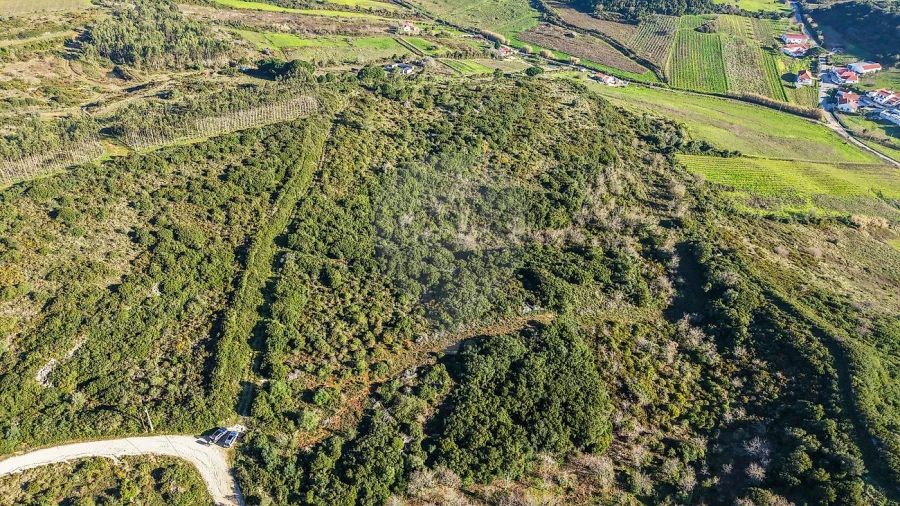 Terreno para Venda em Carnota Foto 4