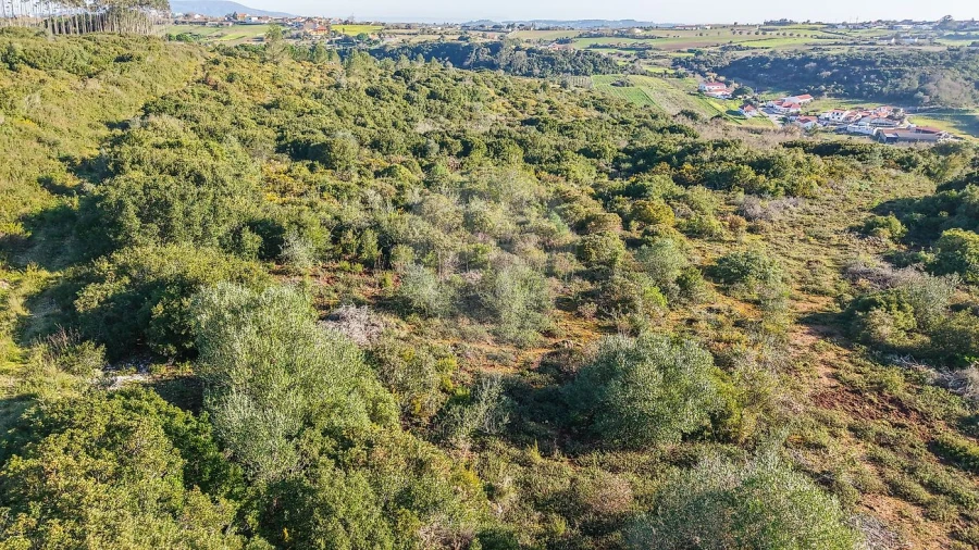 Terreno para Venda em Carnota Foto 16