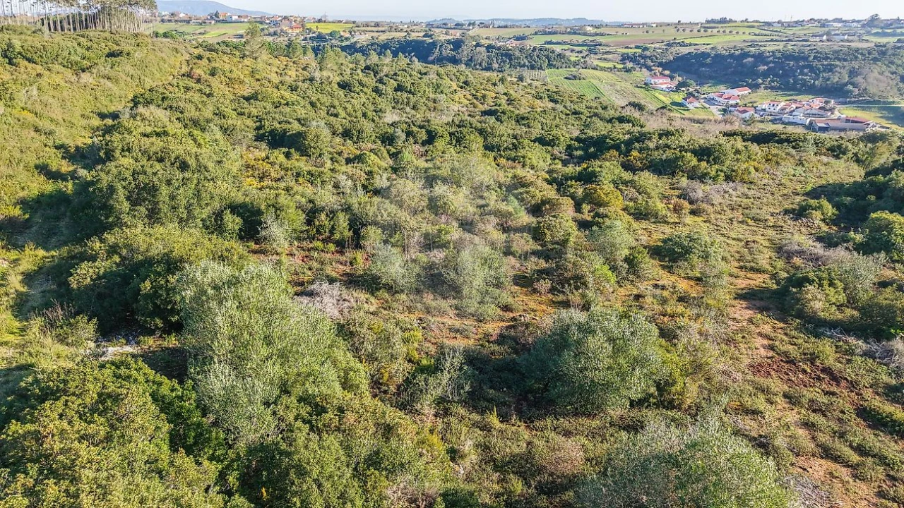 Terreno para Venda em Carnota Foto 16