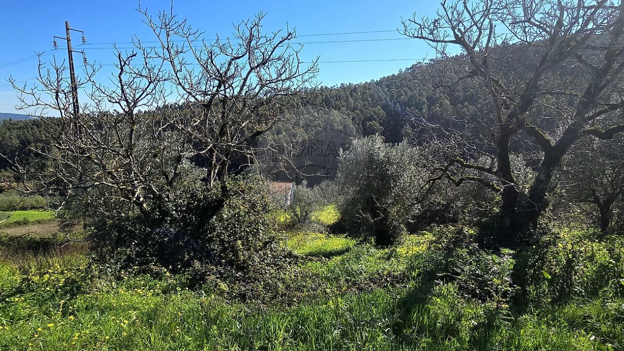 Moradia T2 para Venda em Alcobertas Foto 7