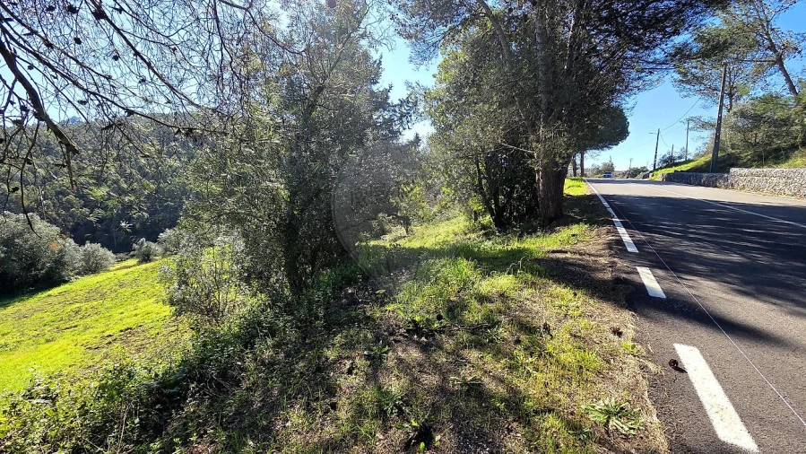 Moradia T2 para Venda em Alcobertas Foto 20