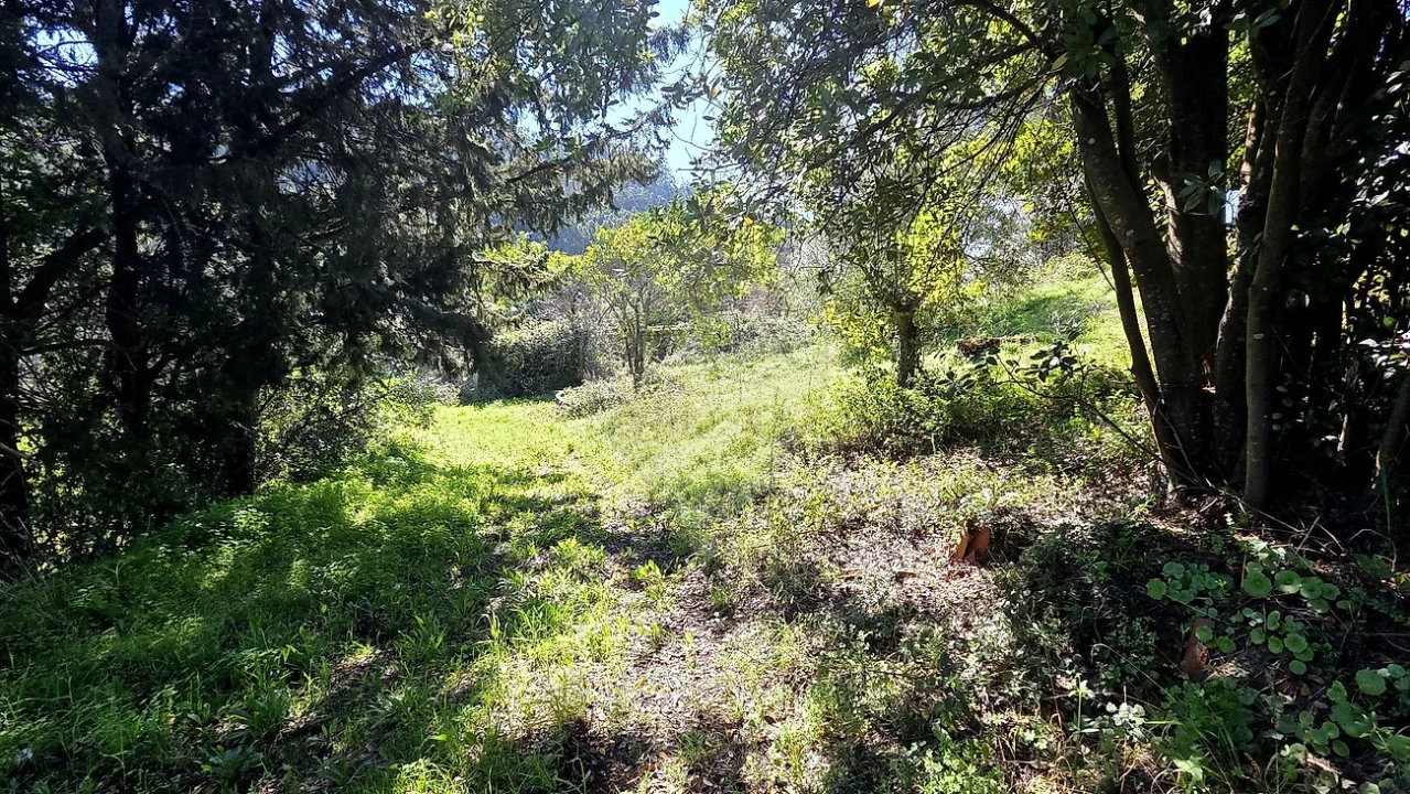 Moradia T2 para Venda em Alcobertas Foto 9