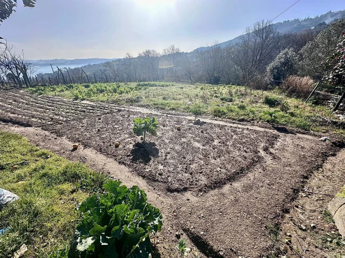 Terreno para Venda em Avões Foto 5