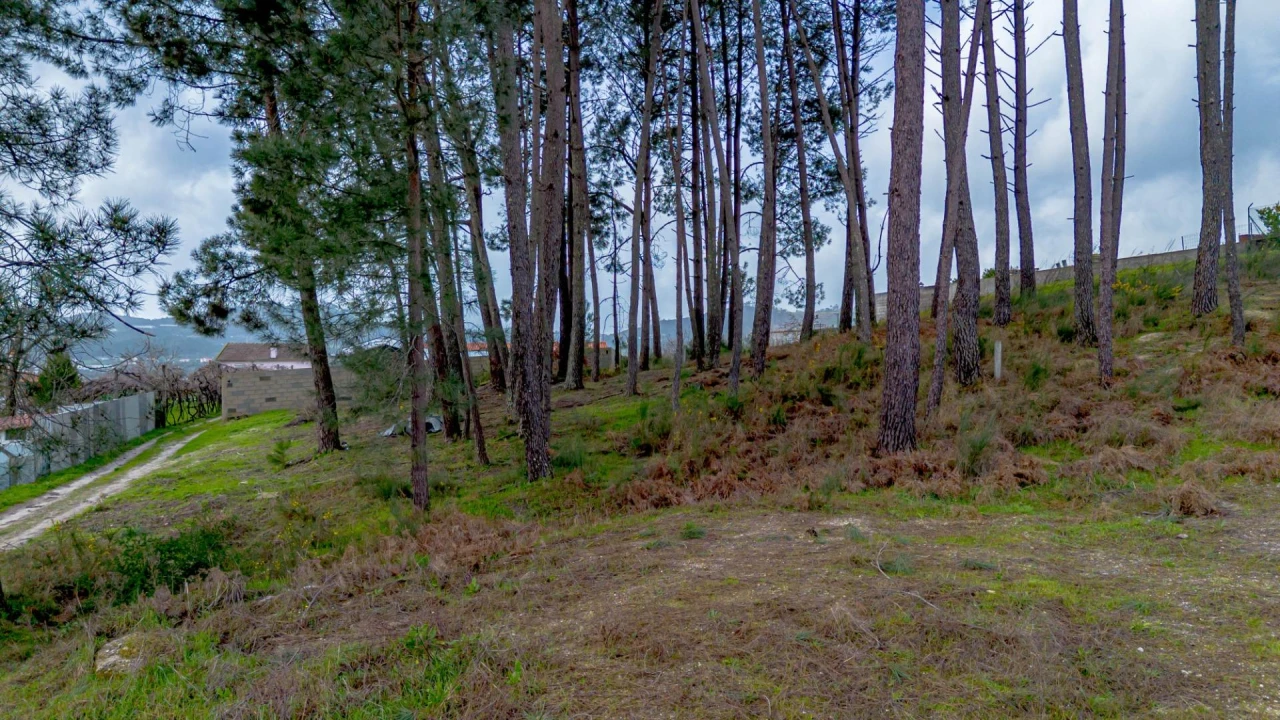 Terreno para Venda em Fregim Foto 23