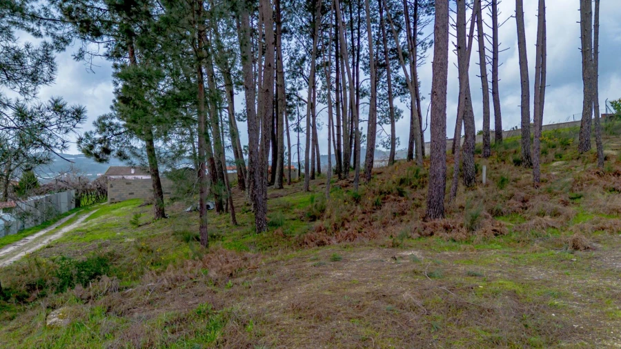 Terreno para Venda em Fregim Foto 23