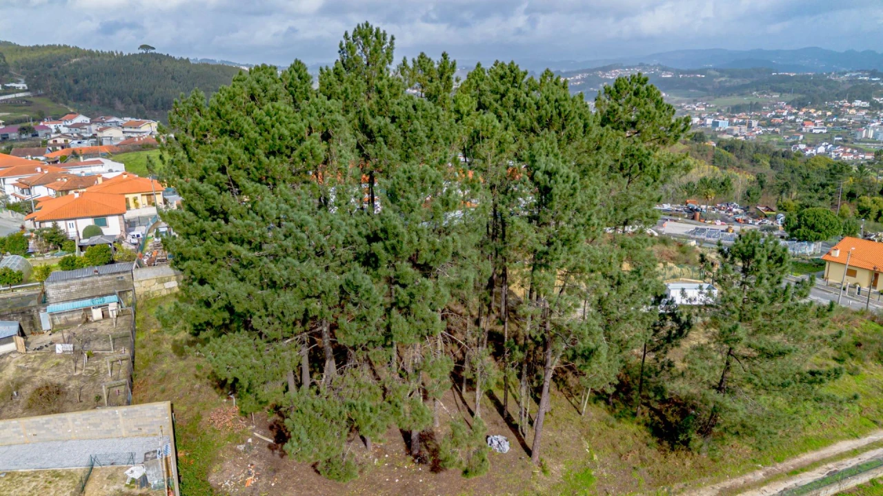 Terreno para Venda em Fregim Foto 13