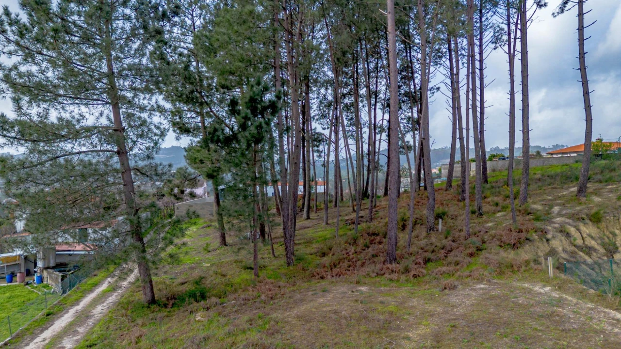 Terreno para Venda em Fregim Foto 25