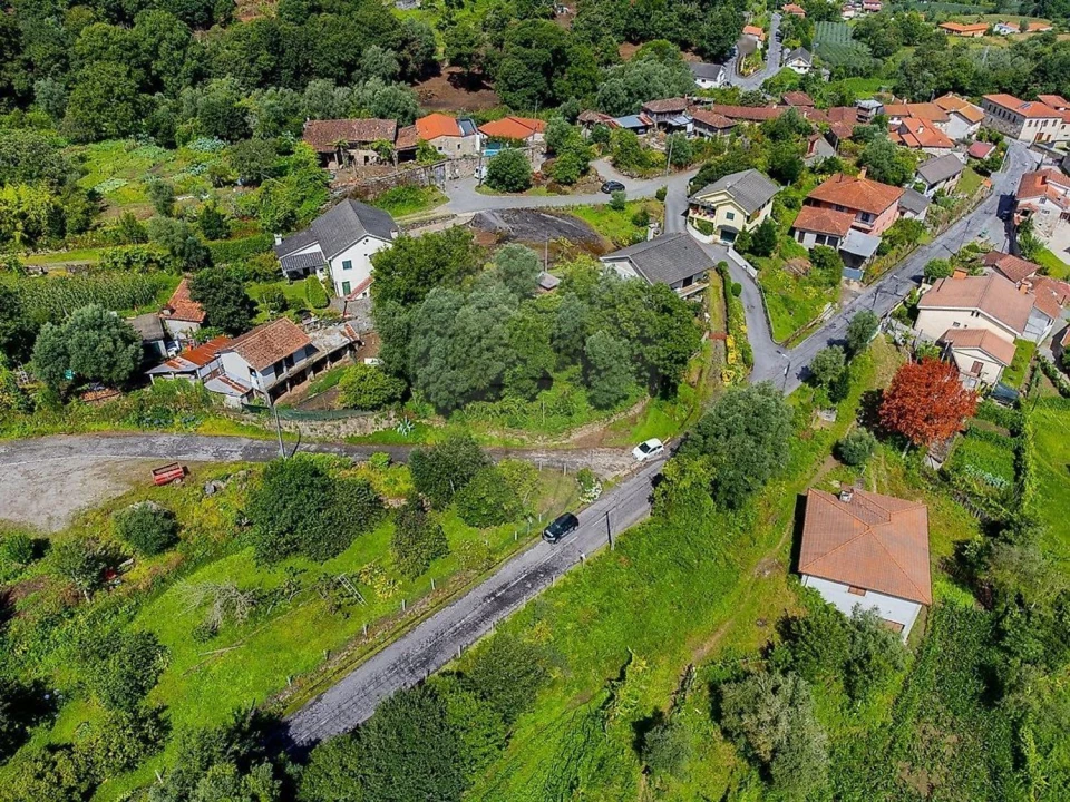 Terreno Agricola ou Rústico para Venda em Águeda e Borralha Foto 13