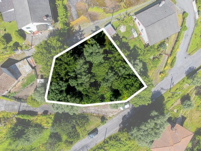 Terreno Agricola ou Rústico para Venda em Águeda e Borralha Foto 21