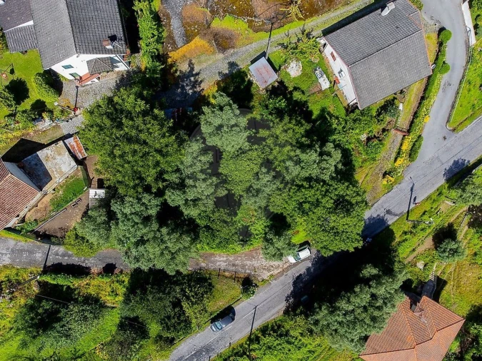 Terreno Agricola ou Rústico para Venda em Águeda e Borralha Foto 3