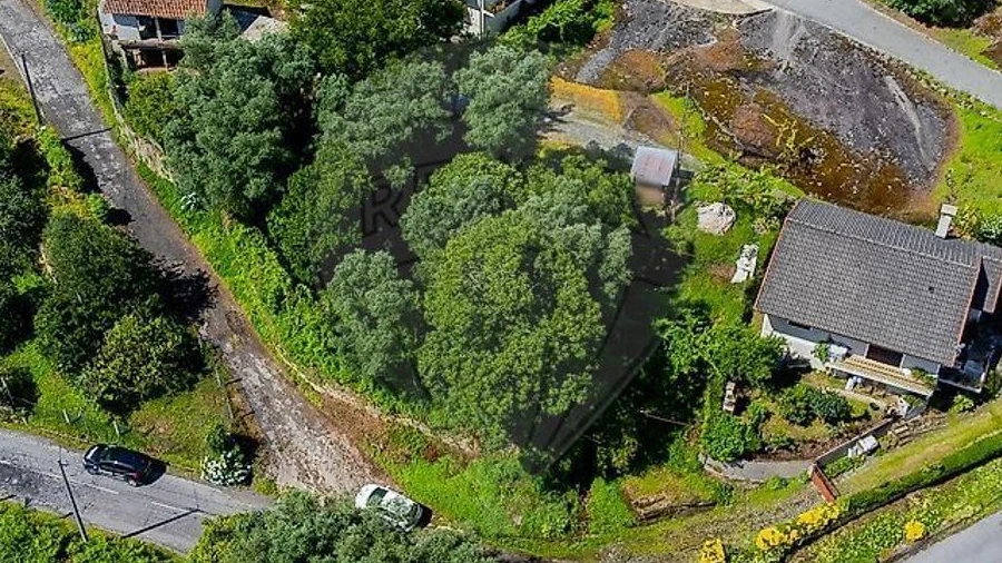 Terreno Agricola ou Rústico para Venda em Águeda e Borralha