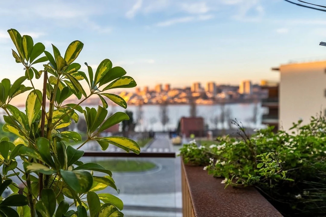 Apartamento T2 para Venda em Belazaima do Chão, Castanheira do Vouga e Agadão Foto 21
