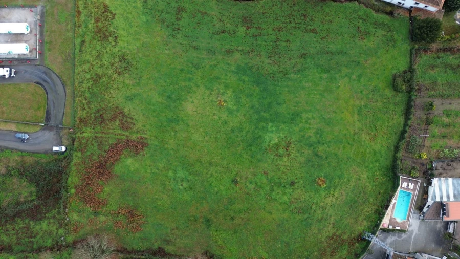 Terreno Agricola ou Rústico para Venda em Galegos Foto 10