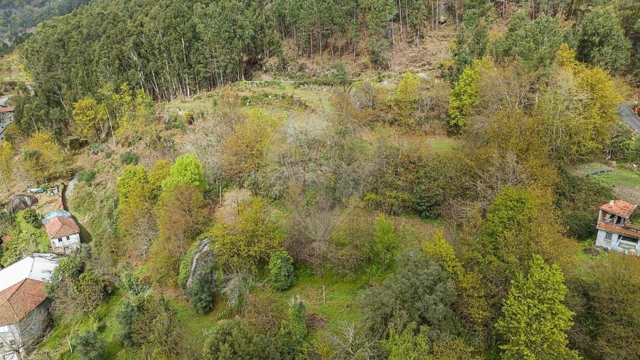 Moradia T3 para Venda em Bouro (Santa Maria) Foto 13