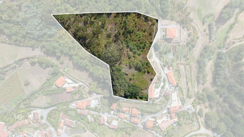 Moradia T1 para Venda em Águeda e Borralha