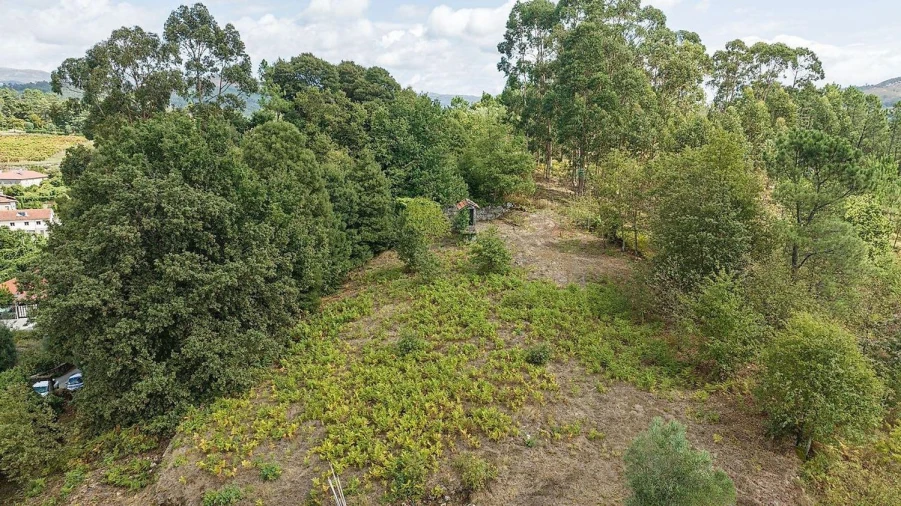 Moradia T1 para Venda em Águeda e Borralha Foto 12