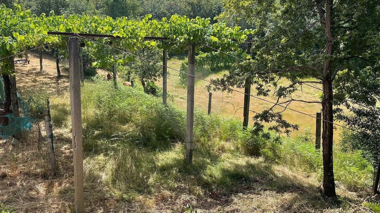 Moradia para Venda em Fafe Foto 17